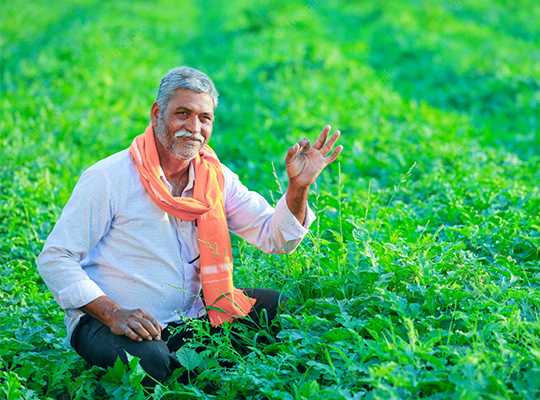 Crop Insurance